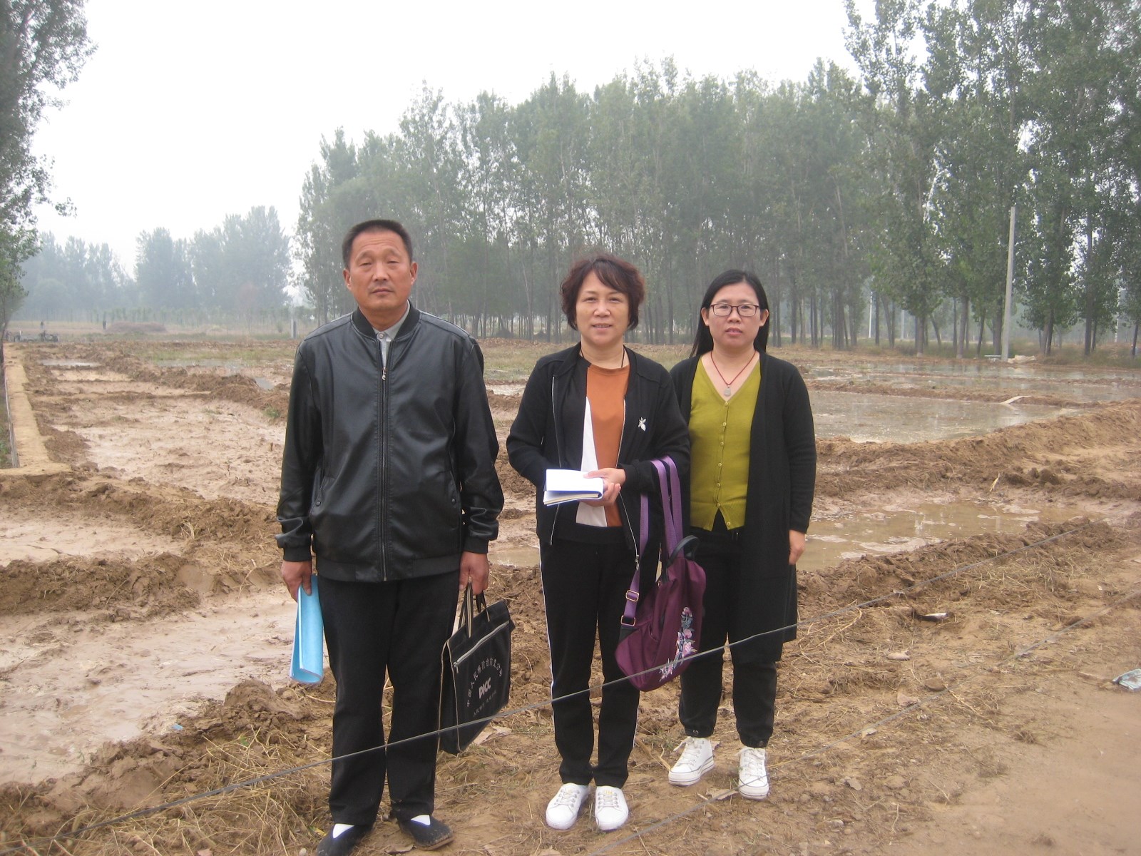 台前县清水河乡恒通加油站新建项目--河南中咨安全师